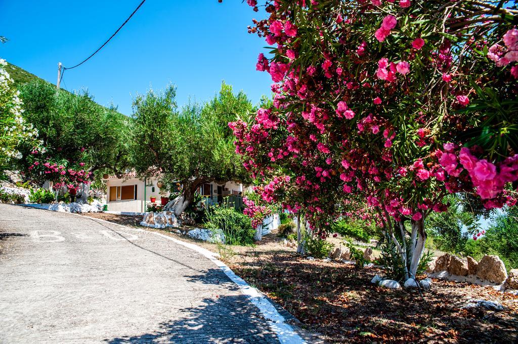 Rogakia Village Est. 1983 Zola Exterior photo